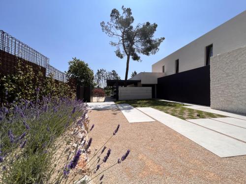 Foto-15-6-23-12-17-36