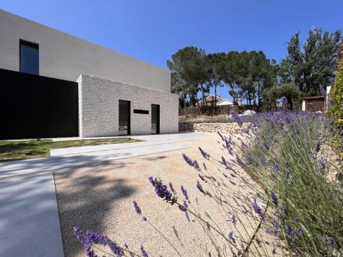 Foto-15-6-23-12-17-55 (1)