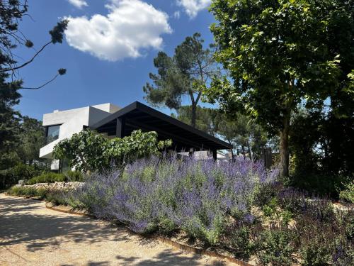 Foto-15-6-23-13-18-34 (1)