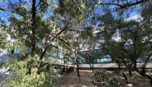 Foto-21-7-22-19-17-12-2